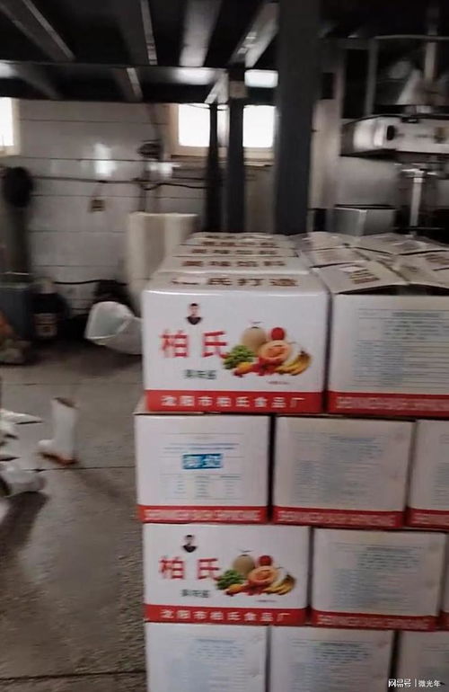 违规食品原料处理曝光，沈阳某食品厂被停产整改